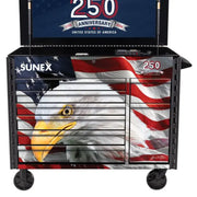 Front view of the 8065PCBKUSA bald eagle and flag graphics